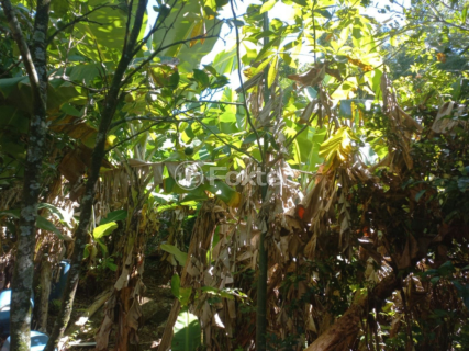 Image 63 - 241438