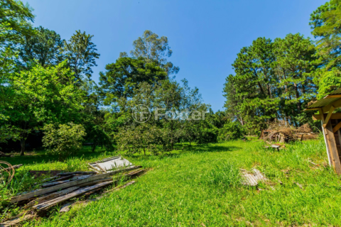 Image 85 - 241668
