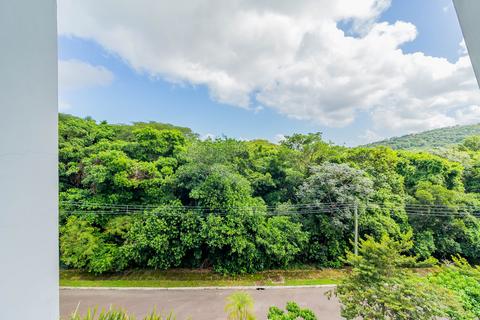 Image 31 - 243038