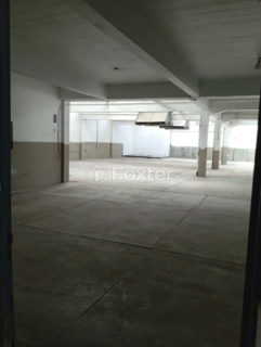Image 4 - 244535
