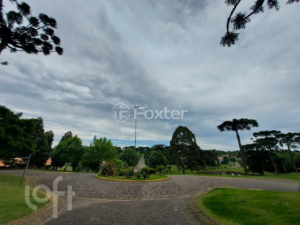 Image 54 - 245262