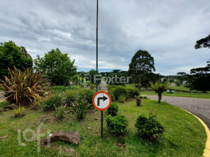 Image 51 - 245262