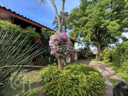 Image 34 - 245494