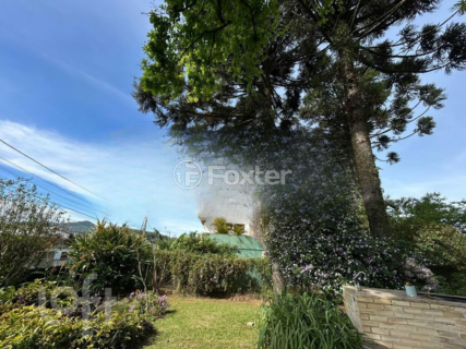 Image 33 - 245494
