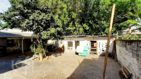Image 36 - 245553