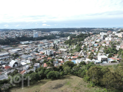 Image 23 - 246676
