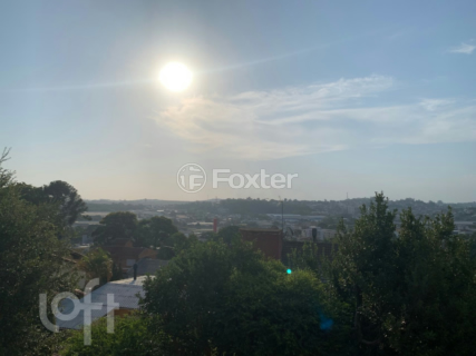 Image 31 - 246916