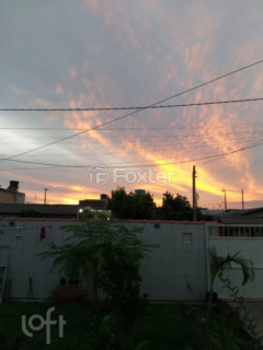 Image 50 - 246972