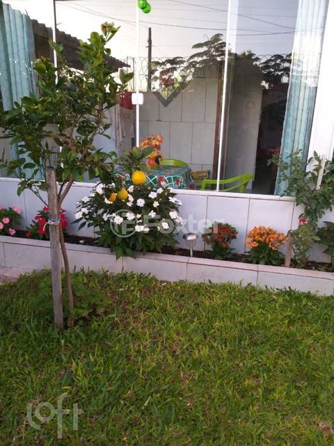 Image 4 - 246972