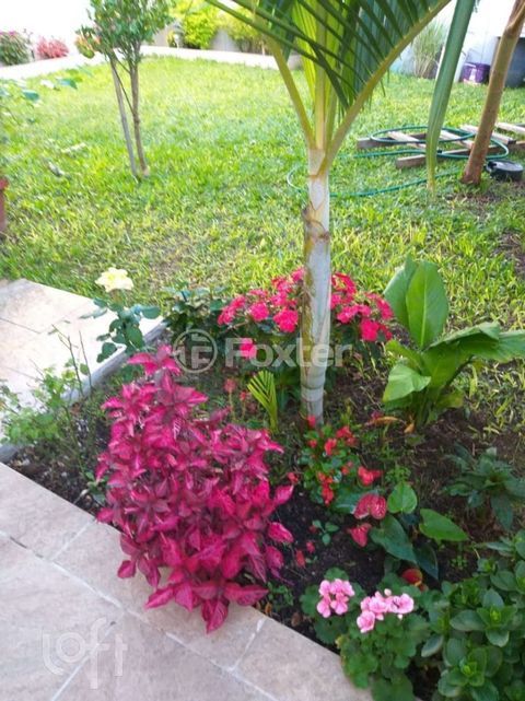 Image 8 - 246972