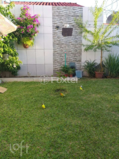 Image 38 - 246972