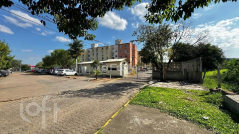 Image 25 - 247291
