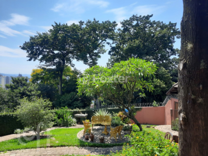 Image 24 - 247817