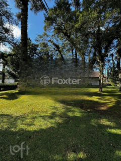 Image 34 - 249516