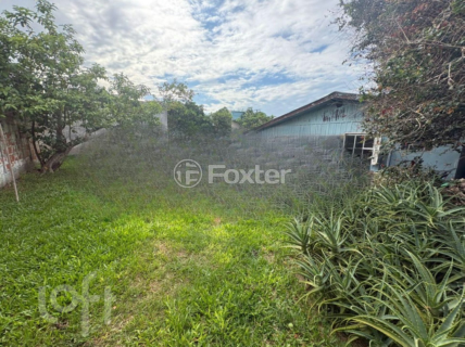Image 8 - 250776