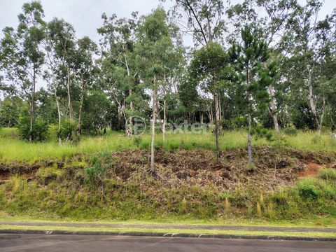 Image 6 - 253016