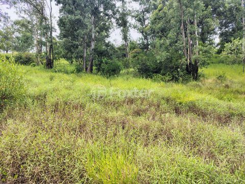 Image 9 - 253016