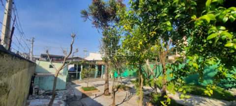 Image 25 - 253988