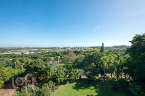 Image 31 - 254878