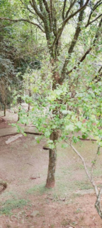 Image 40 - 255580