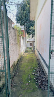 Image 14 - 258161