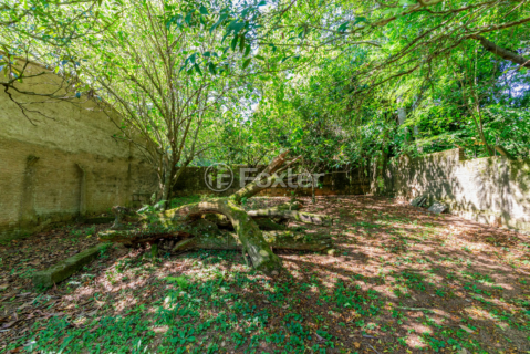 Image 44 - 258522