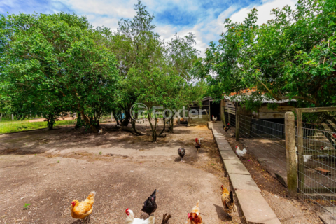 Image 62 - 259471