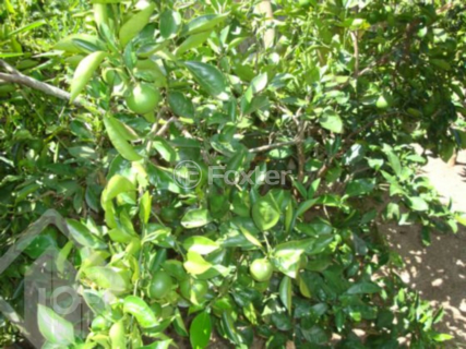 Image 36 - 269560