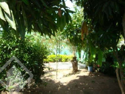Image 34 - 269560