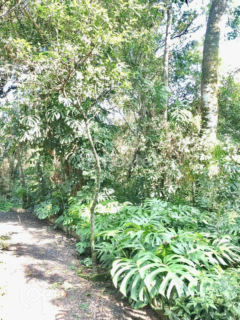 Image 24 - 273170