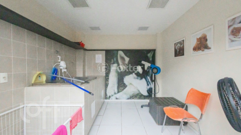 Image 41 - 275667
