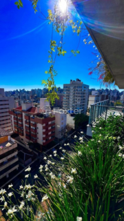 Image 26 - 276830
