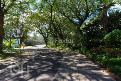 Image 53 - 277159