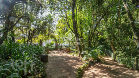 Image 90 - 277437