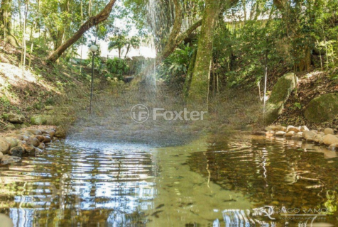Image 81 - 277437