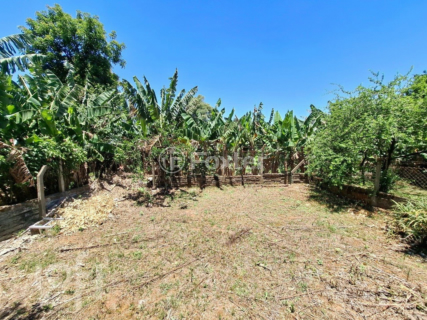 Image 37 - 278312