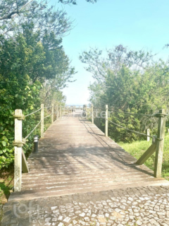 Image 30 - 281868