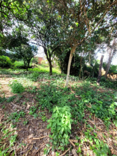 Image 8 - 282881