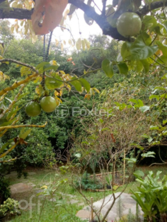 Image 33 - 284088