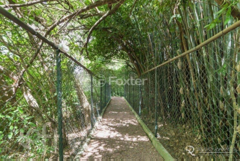 Image 43 - 284498