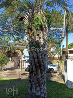 Image 6 - 284825