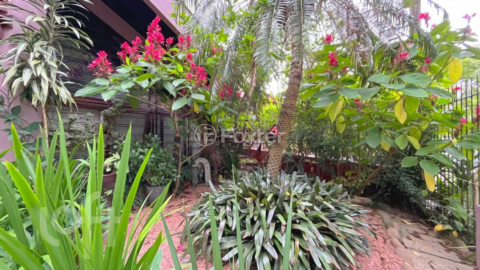 Image 54 - 286492