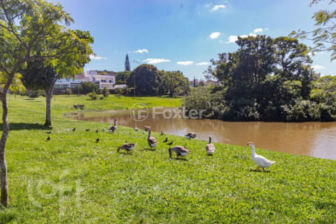 Image 21 - 286830