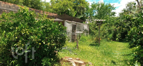 Image 7 - 287282