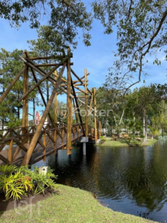 Image 48 - 288217