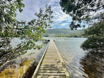 Image 37 - 289493