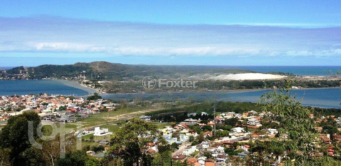 Image 41 - 289519