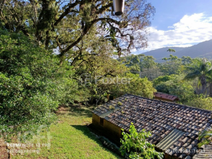 Image 54 - 291221