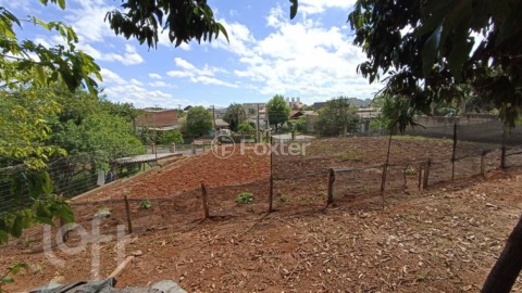 Image 22 - 294433