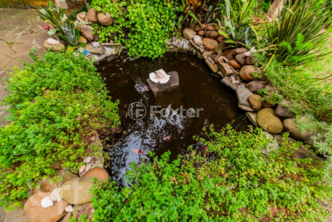 Image 43 - 294436